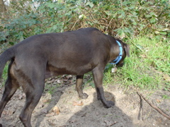 DSC05680.JPG