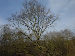 DSC05686.JPG