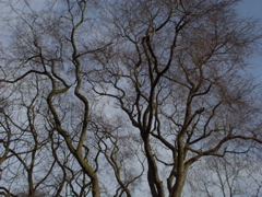 DSC05690.JPG