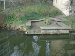 DSC05698.JPG