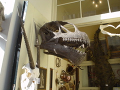 DSC05723.JPG