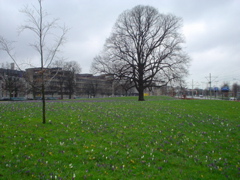 DSC05735.JPG
