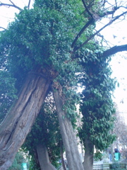 DSC04014.JPG