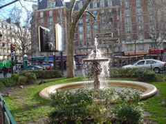 DSC04020.JPG