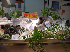 DSC04028.JPG