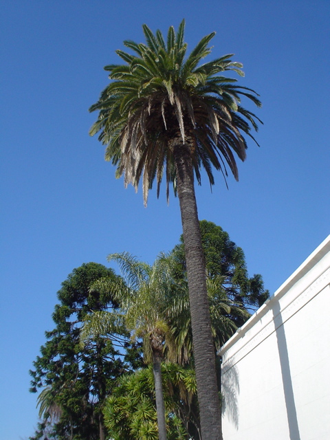 DSC02552.JPG