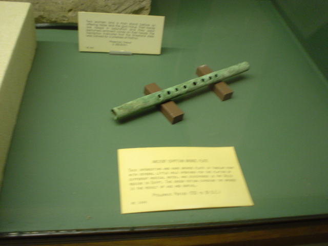 DSC02555.JPG