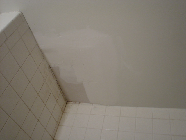DSC02561.JPG