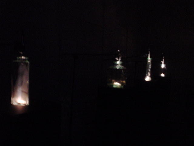 DSC02567.JPG