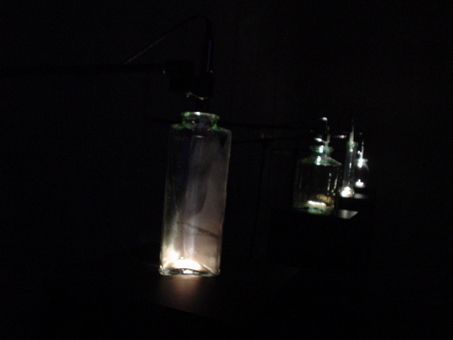 DSC02568.JPG