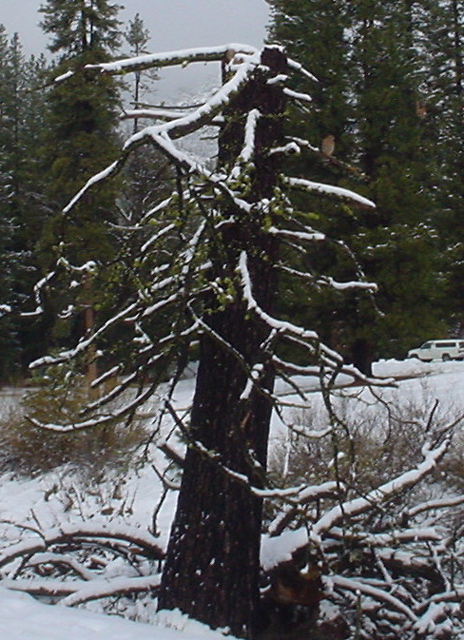 DSC02448.JPG
