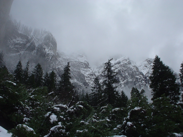 DSC02460.JPG