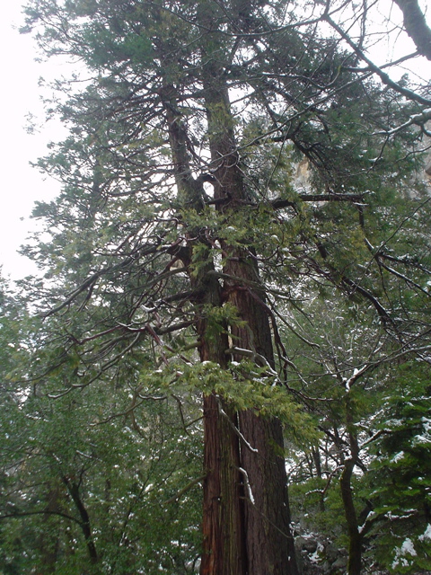 DSC02463.JPG