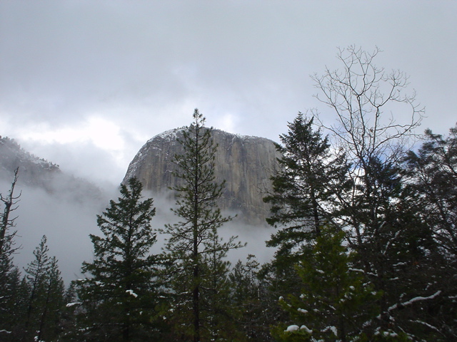 DSC02469.JPG