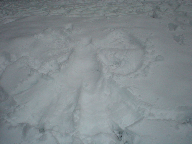 DSC02475.JPG
