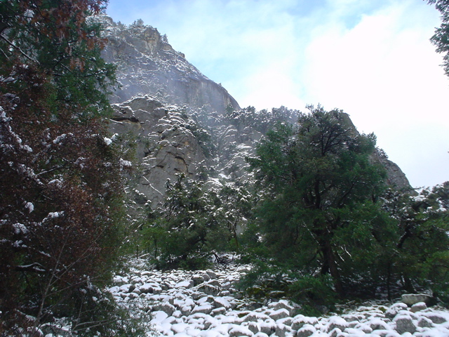DSC02477.JPG