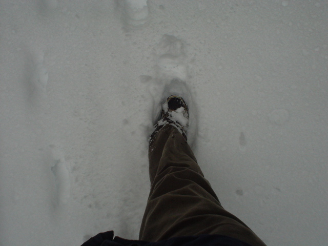 DSC02480.JPG