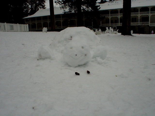 DSC02481.JPG