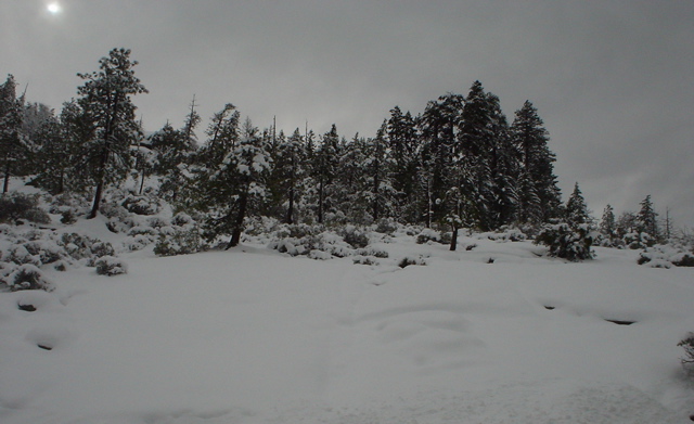 DSC02485.JPG