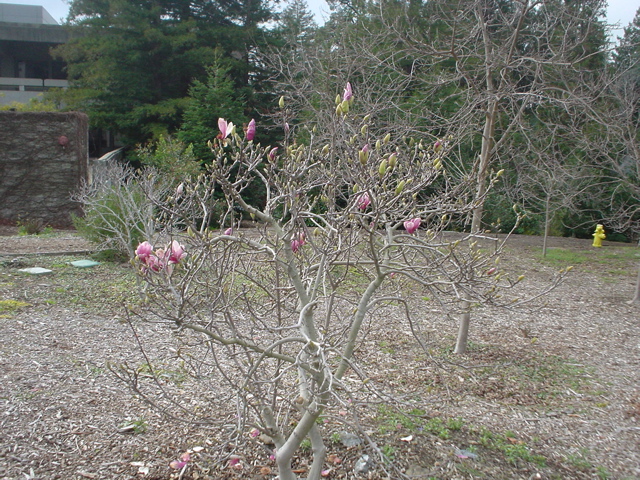 DSC02492.JPG