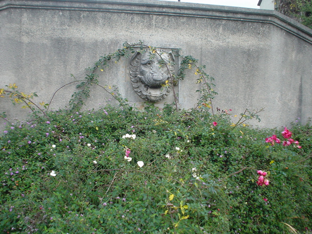 DSC02493.JPG