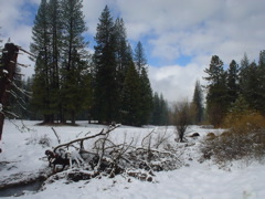 DSC02443.JPG