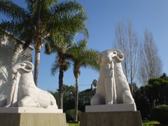 DSC02549.JPG