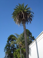 DSC02552.JPG
