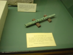 DSC02555.JPG