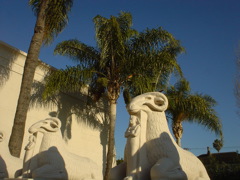 DSC02556.JPG