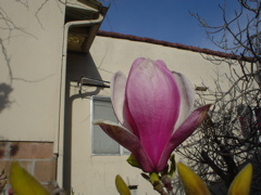 DSC02557.JPG