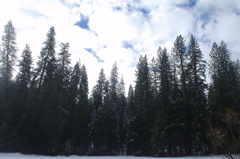 DSC02444.JPG