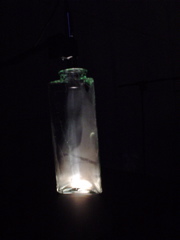 DSC02569.JPG