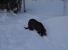 DSC02578.JPG
