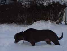 DSC02581.JPG