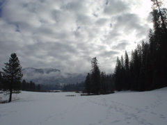 DSC02446.JPG