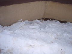 DSC02614.JPG