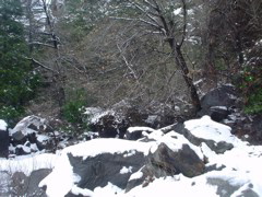 DSC02456.JPG