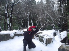 DSC02459.JPG