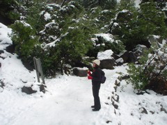 DSC02461.JPG