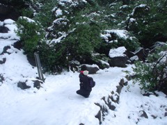 DSC02462.JPG