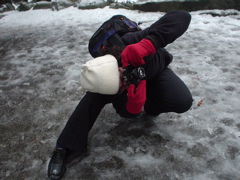 DSC02465.JPG