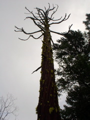 DSC02468.JPG