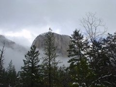 DSC02469.JPG