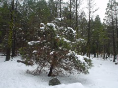 DSC02470.JPG