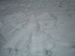 DSC02475.JPG