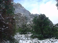 DSC02477.JPG