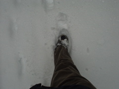 DSC02480.JPG