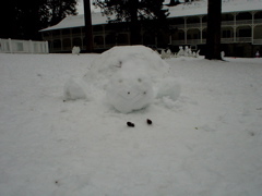 DSC02481.JPG