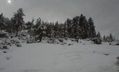 DSC02485.JPG